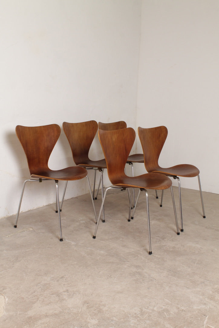 Lot de 5 chaises Série 7, Arne Jacobsen pour Fritz Hansen, 1960–70