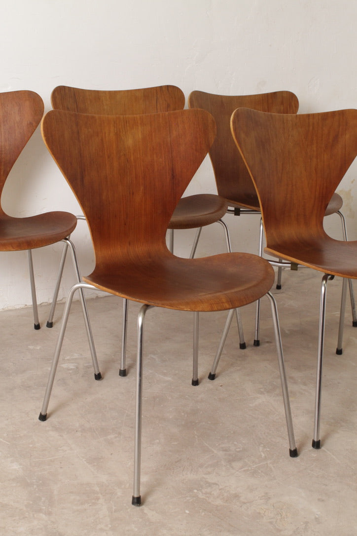 Lot de 5 chaises Série 7, Arne Jacobsen pour Fritz Hansen, 1960–70